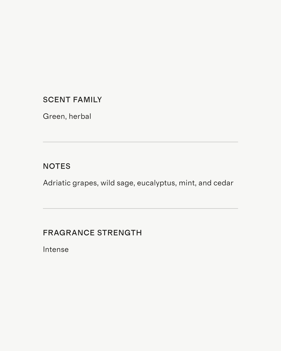 Adriatic Sage Candle - thumbnail 4