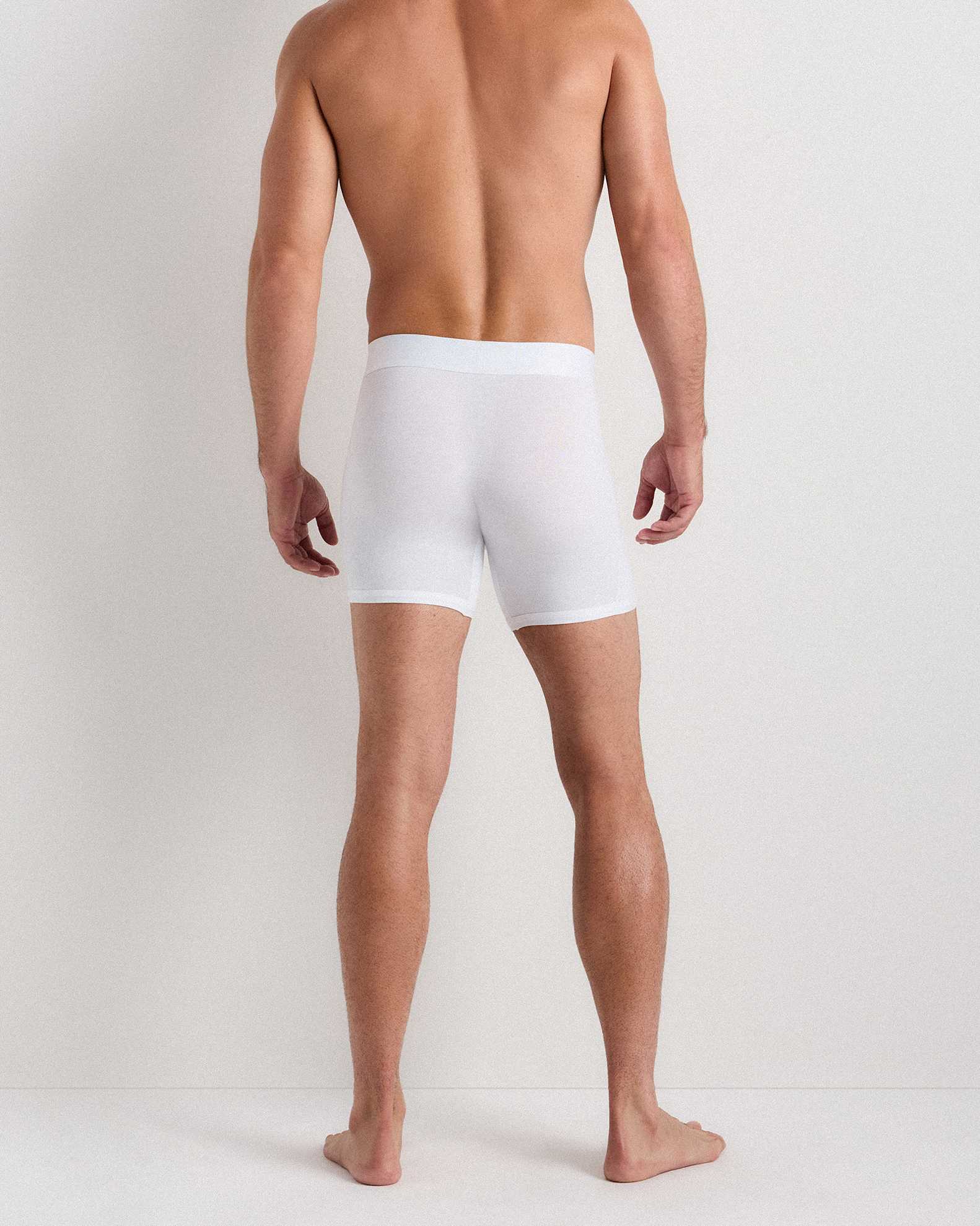 Everyday Cotton Solid Ankle Socks (4-pack)