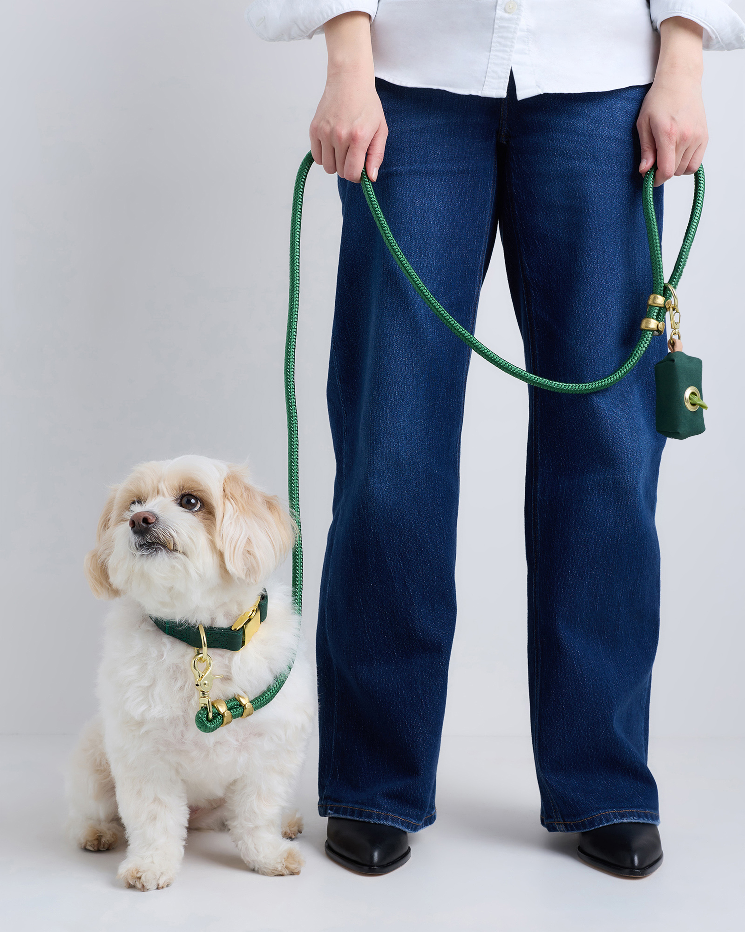 100% Cotton-Wrapped Nylon Dog Collar Walk Kit in Dark Green