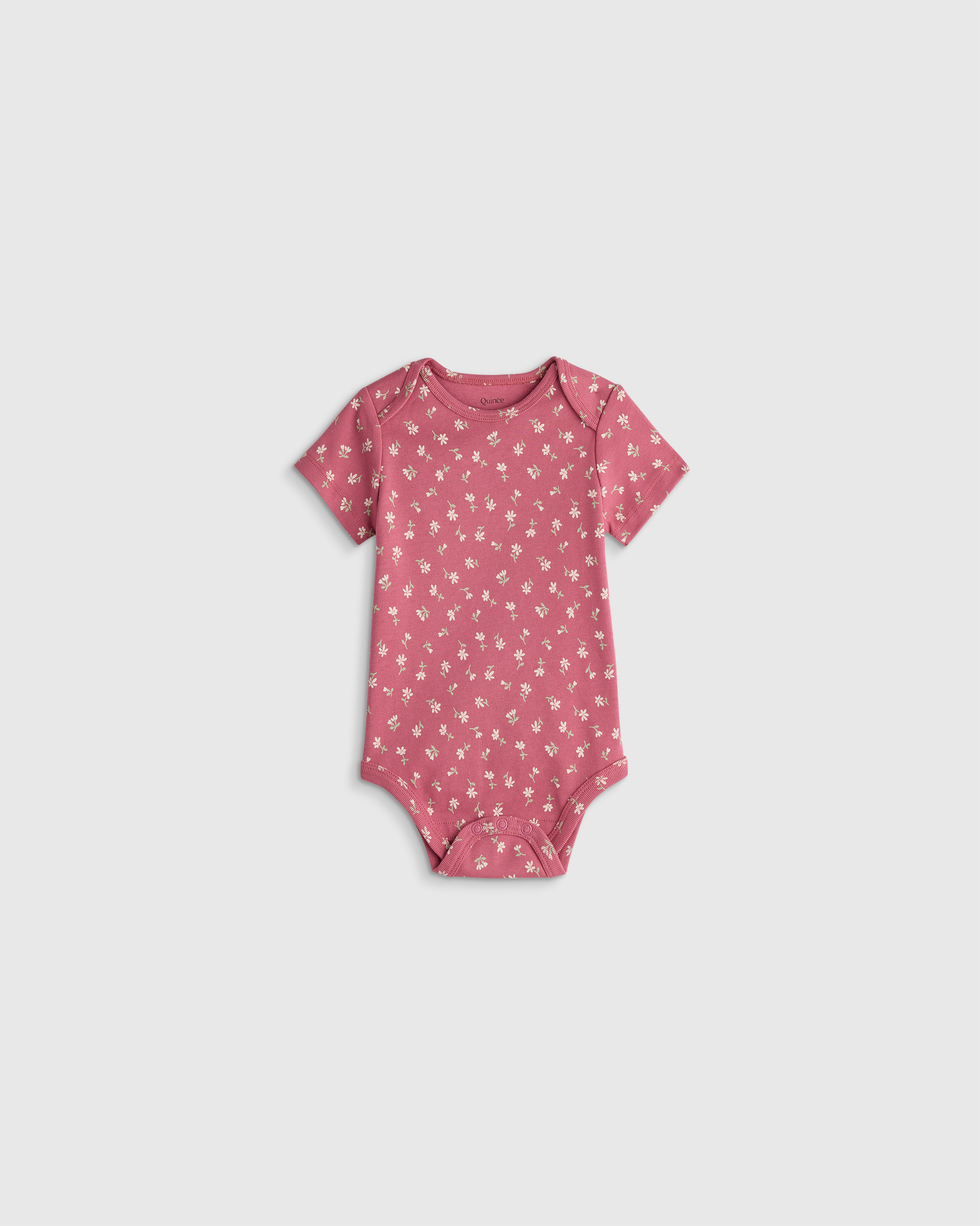 Quince Short Sleeve Bodysuit In Pattern
