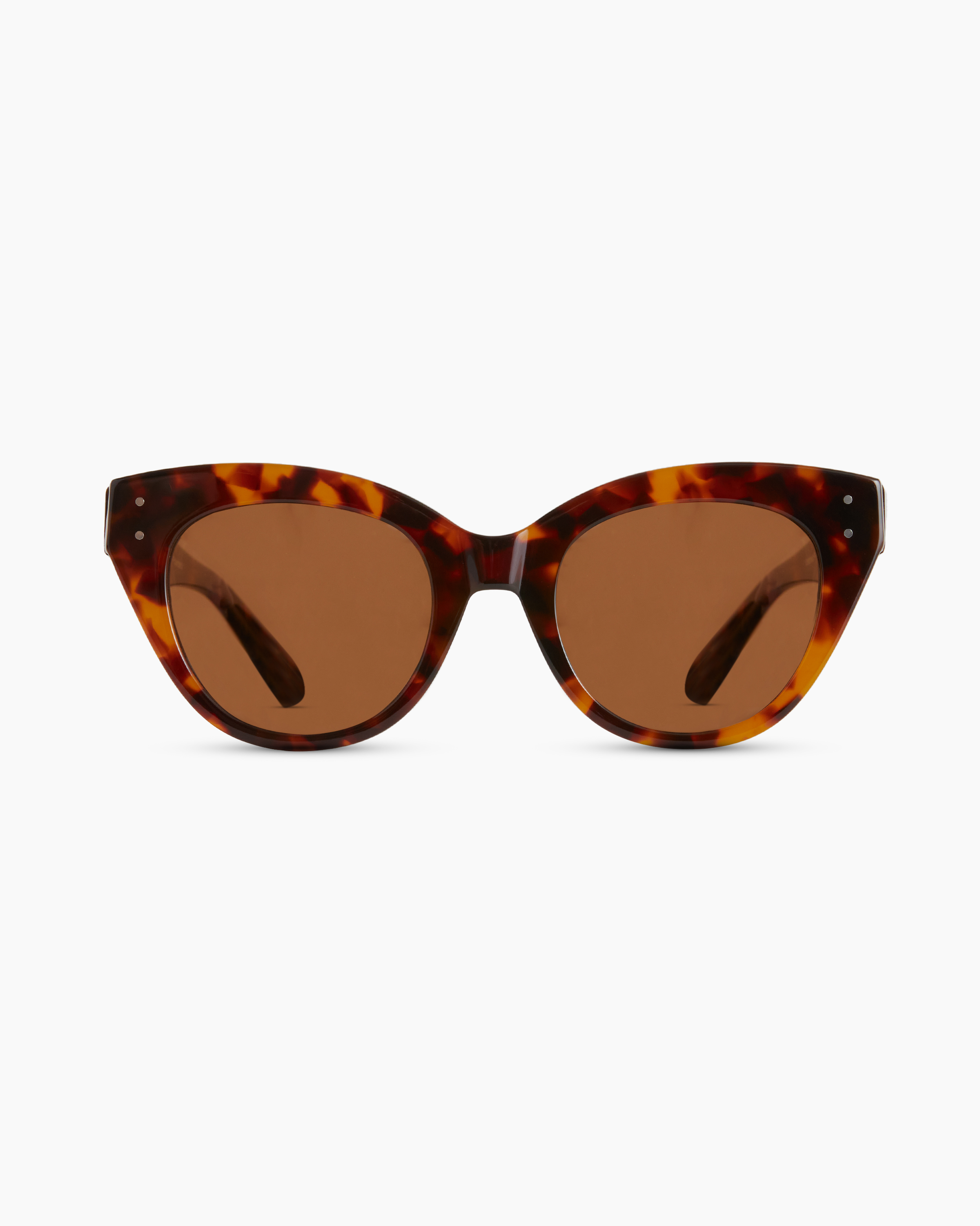 QUINN-GINGER TORTOISE-POLARIZED-1