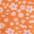 Orange Blossoms