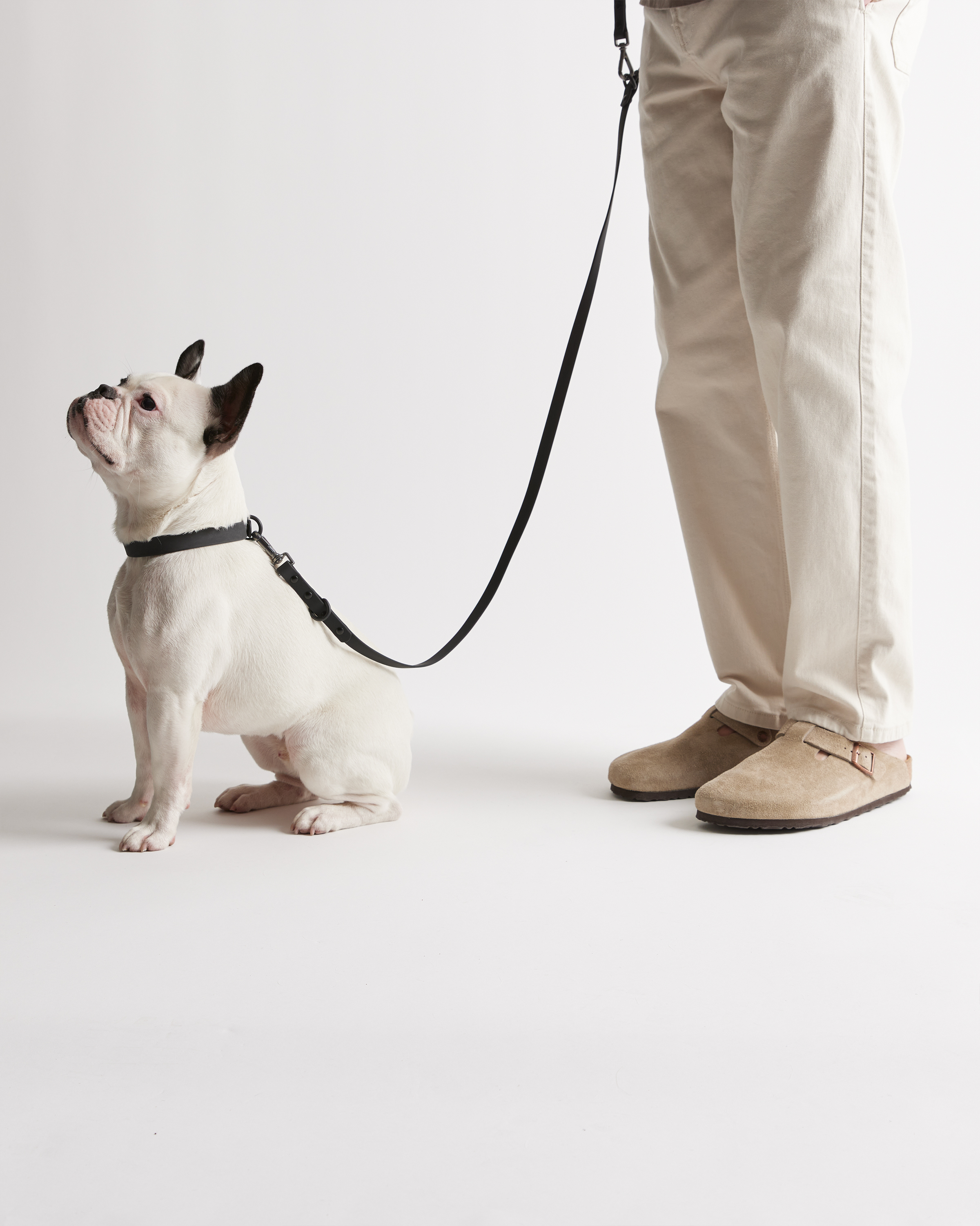 Flex-Poly Dog Leash