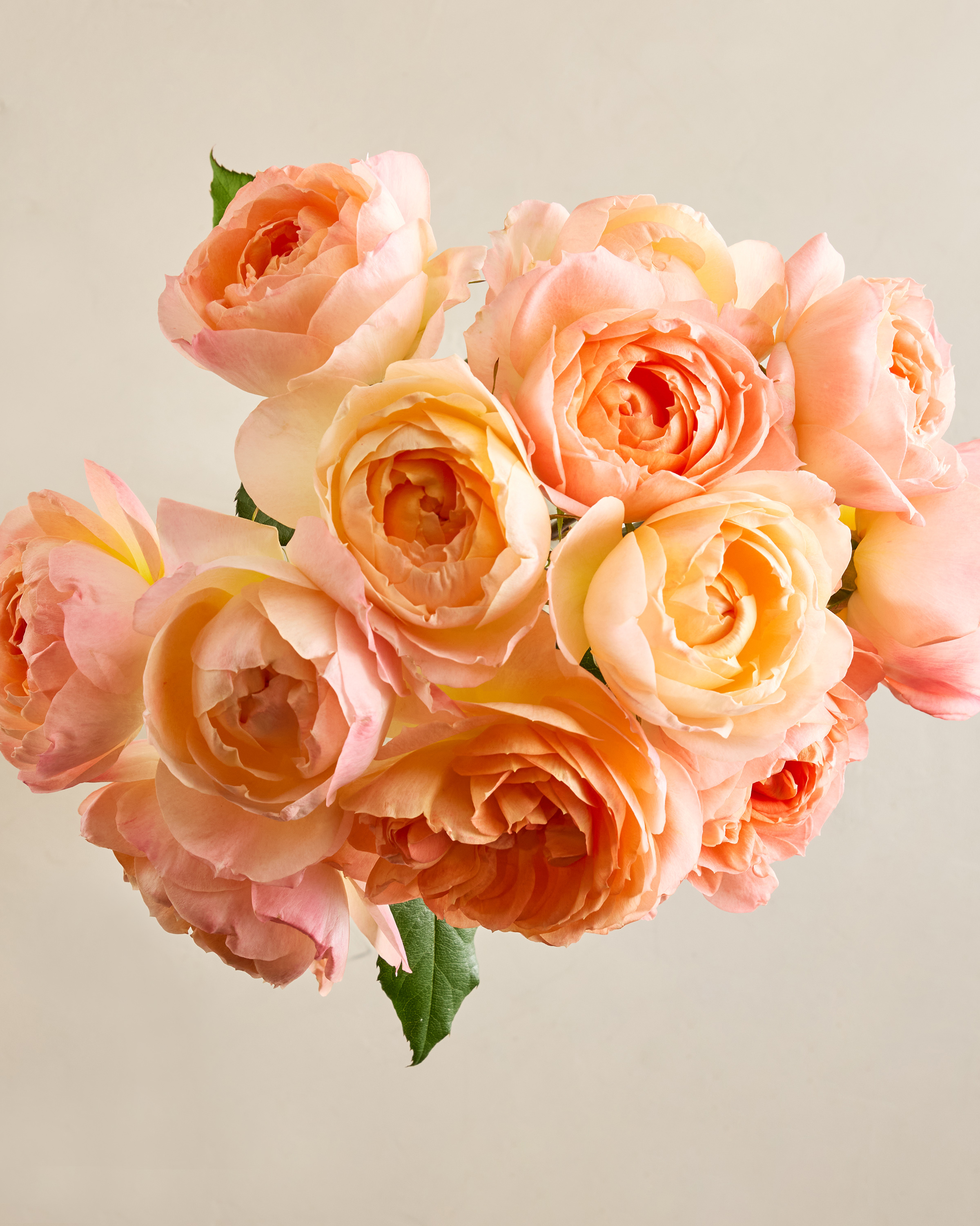 U--2028-PEA-07