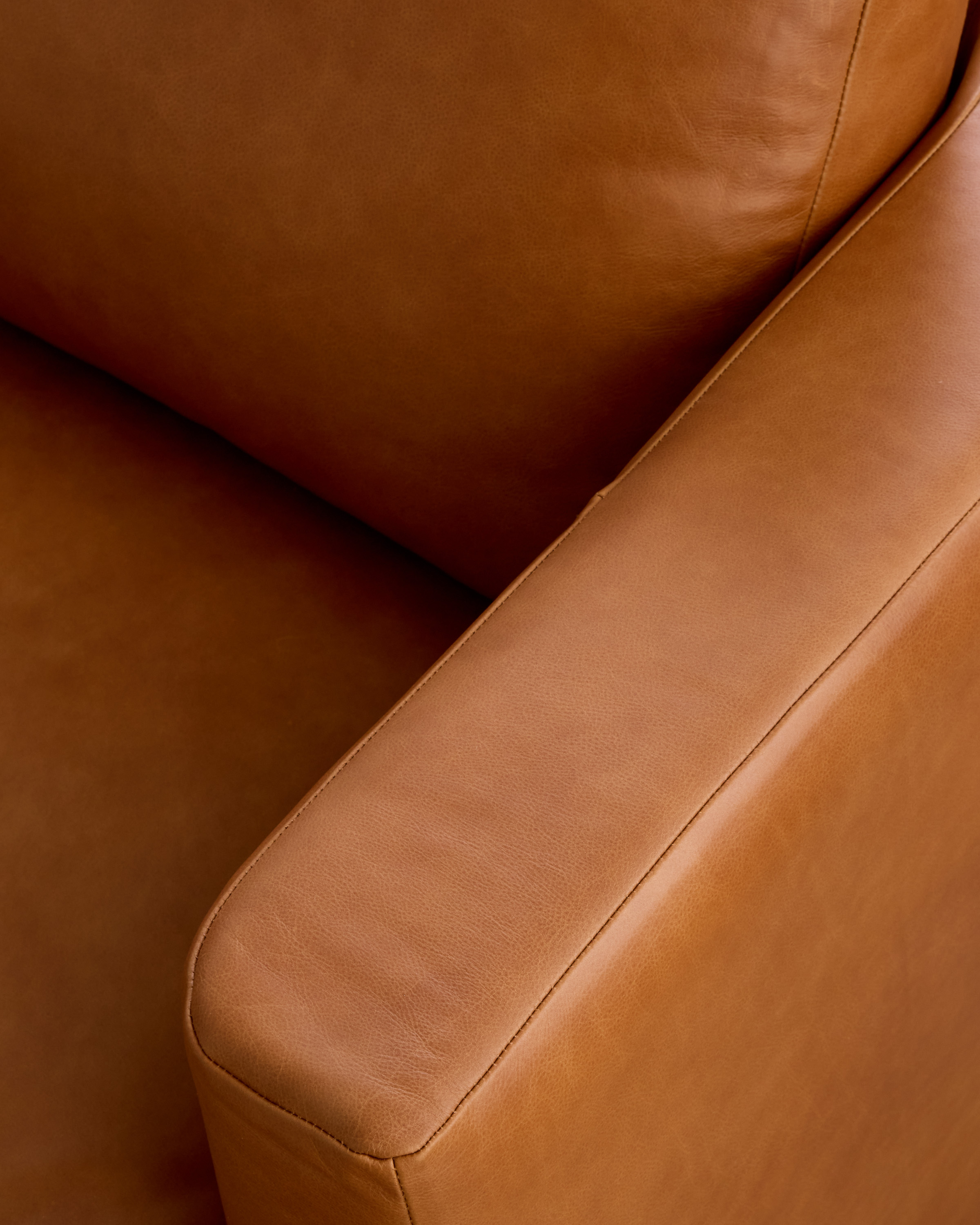 Sierra-Sofa-21630 EDITED